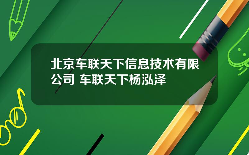 北京车联天下信息技术有限公司 车联天下杨泓泽